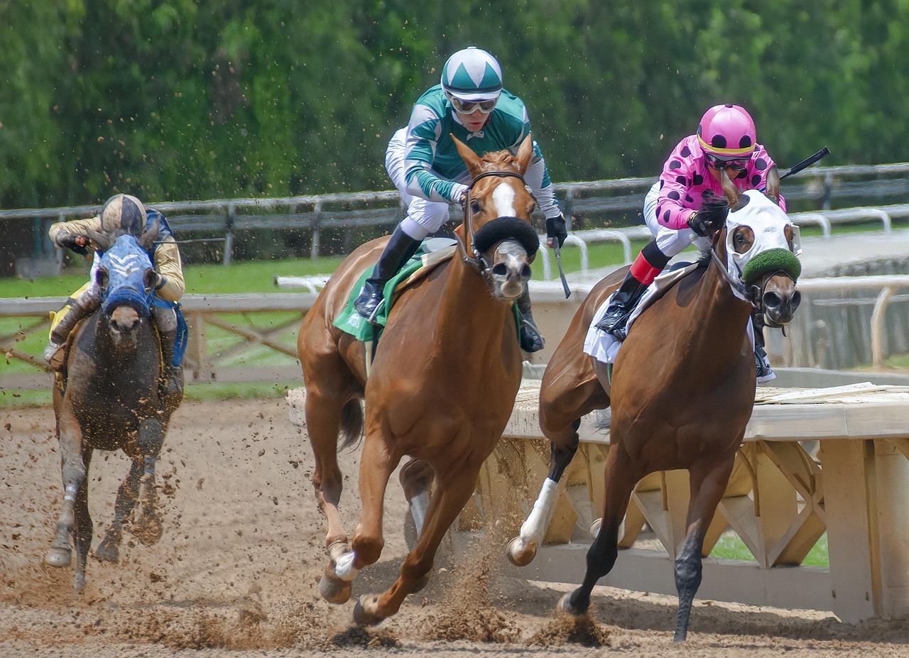 A Day at the Races